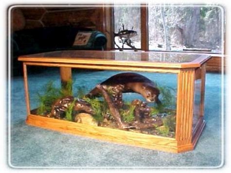 otter-habitat-coffee-table