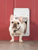 PetSafe_smart_doggie_door_200x
