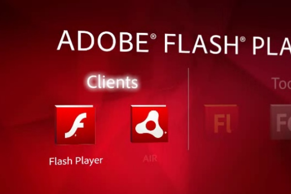 download flash player video