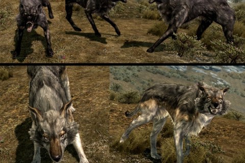 skyrim-retextured-wolves