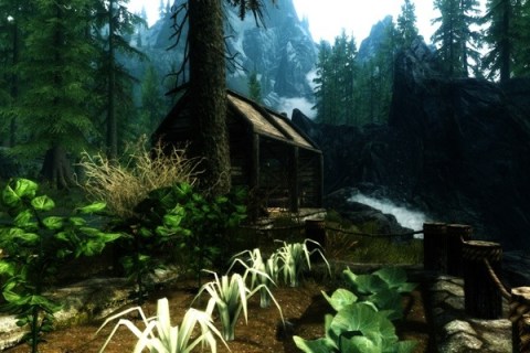 skyrim-build-your-own-home