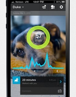 whistle-dog-app-250px