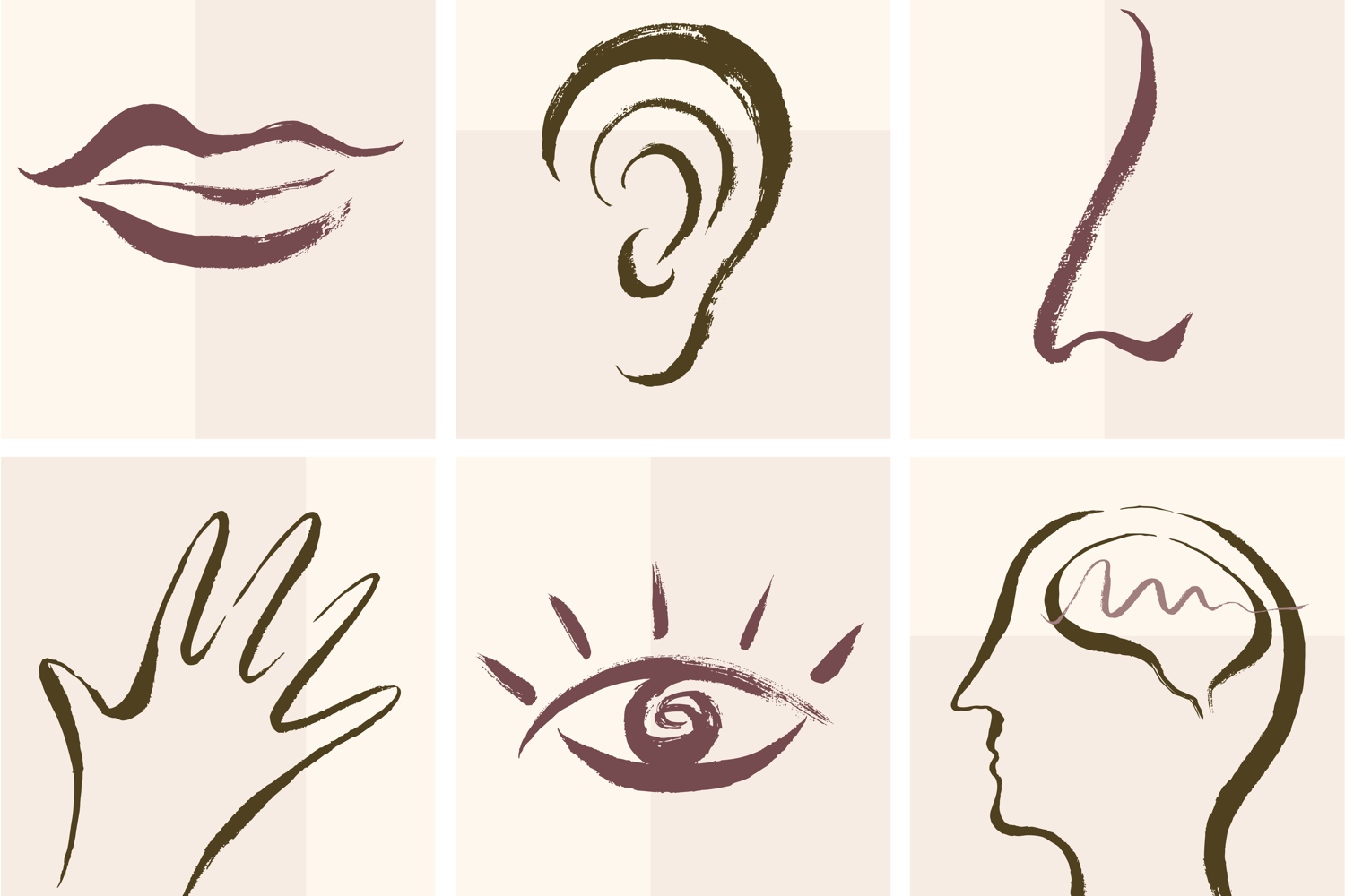 The Five Senses Organ Human body Human nose, Eye, face, hand, people png |  PNGWing