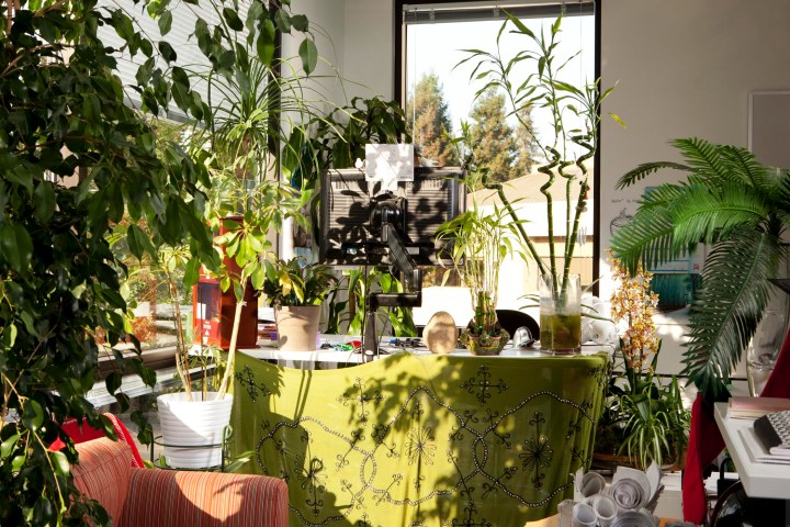 A Google employee's cubicle reflects her interest in horticulture.