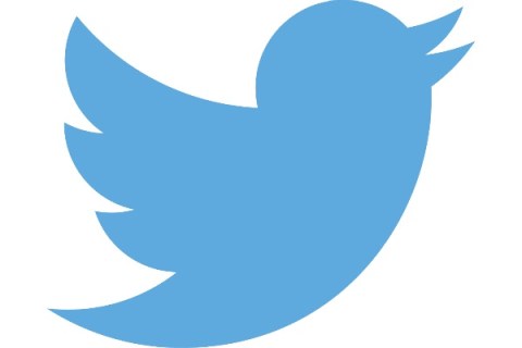 Twitter bird